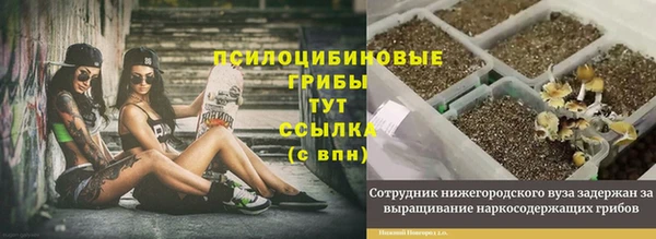 MDMA Premium VHQ Алексин