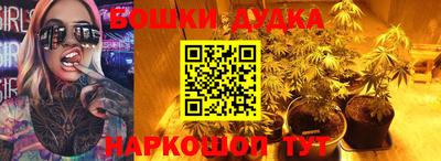 МДПВ Обь